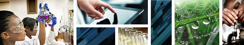 Building knowledge through research